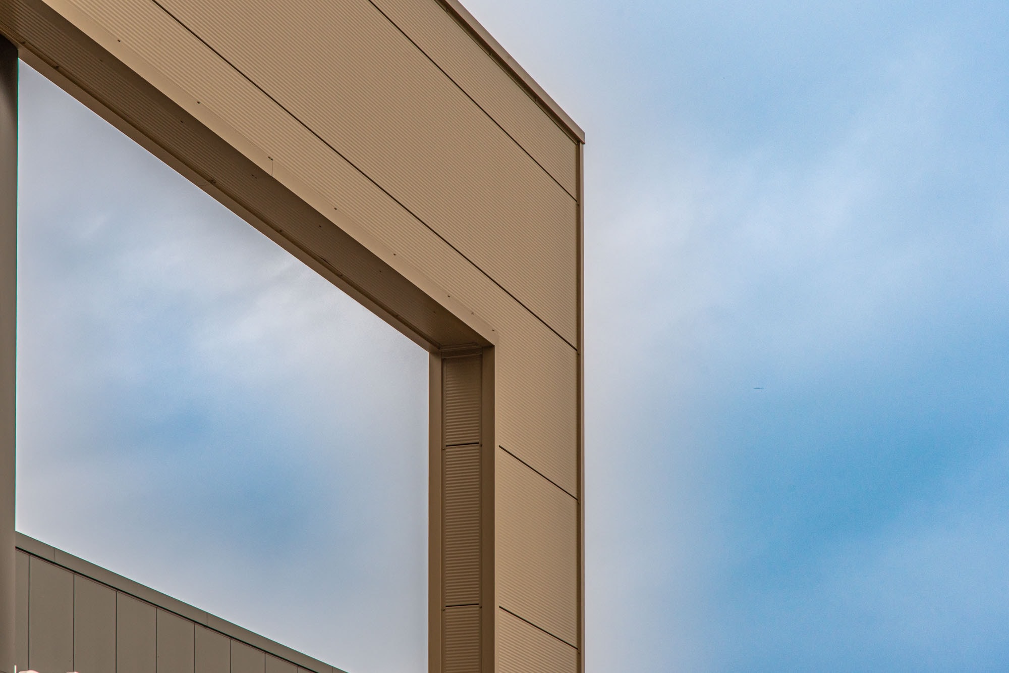 Stedupro Rosa Odor Web 10