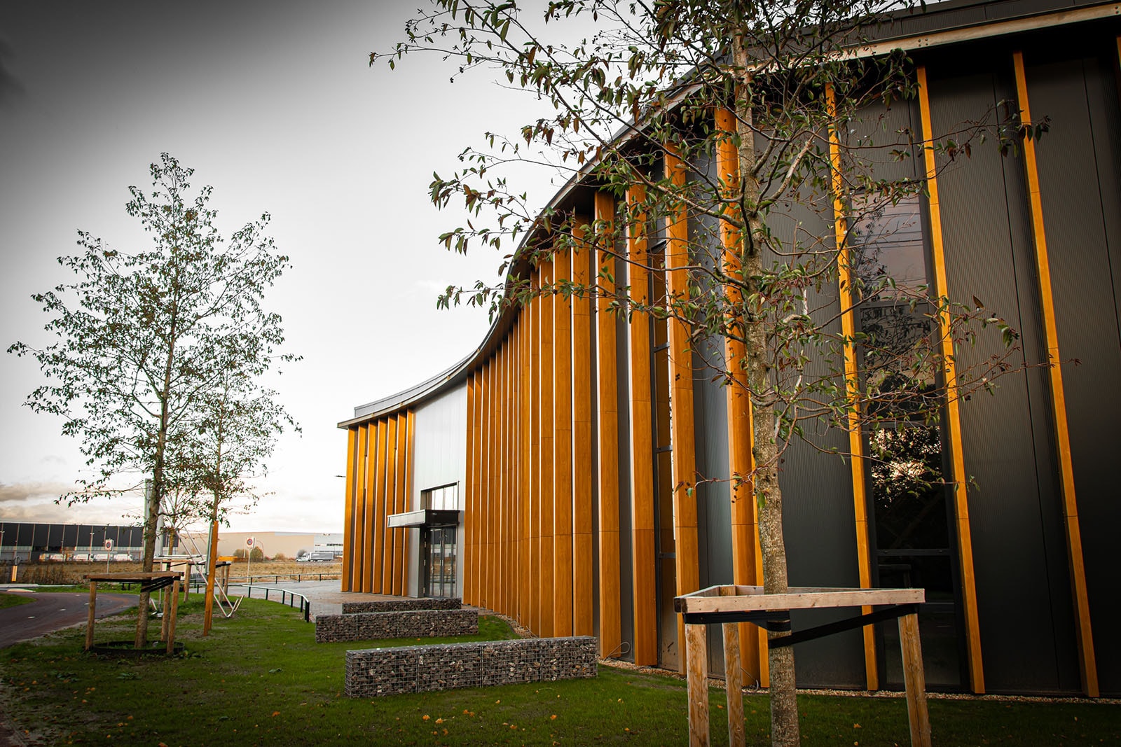 Stedupro Newton Staete 6